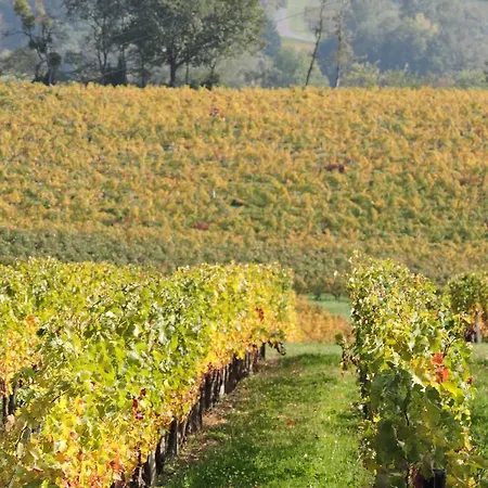 Chateau Les Tours Seguy Bed & Breakfast