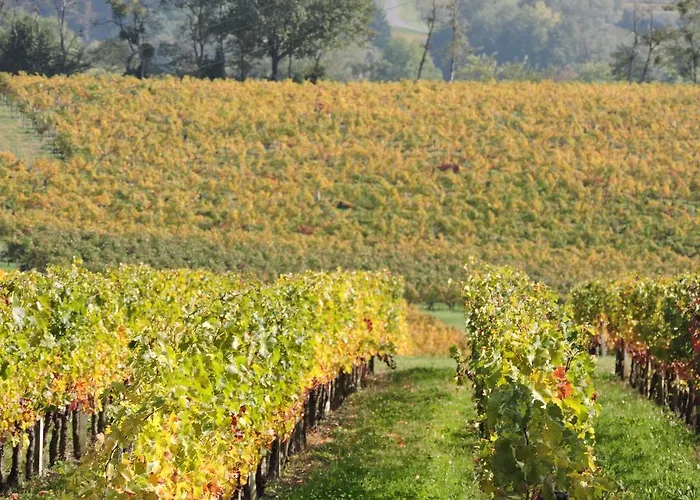 Chateau Les Tours Seguy Bed & Breakfast